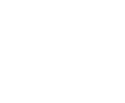 Evolution games at Bucky Bingo Casino